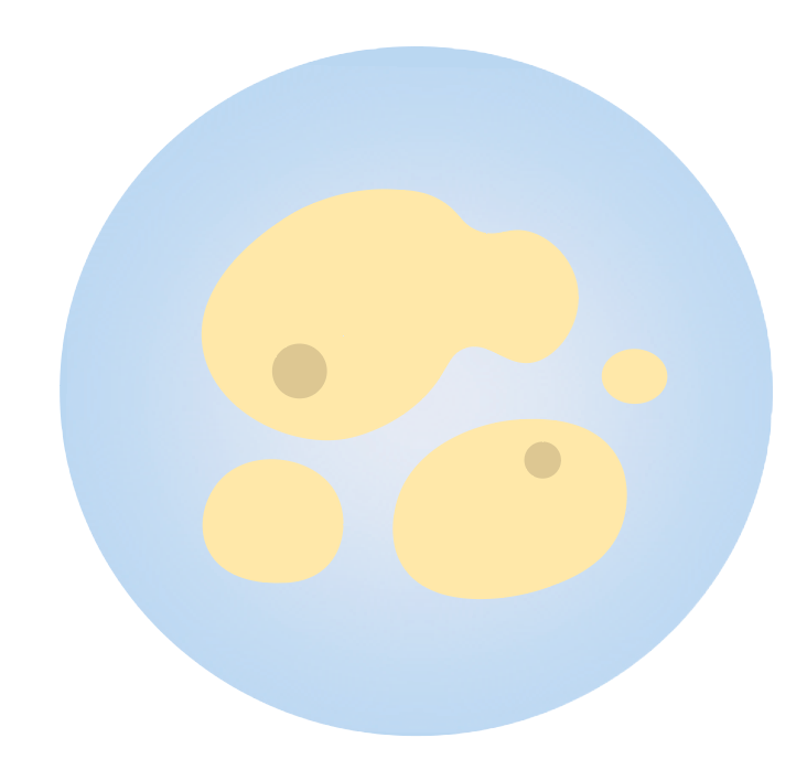 Yeast